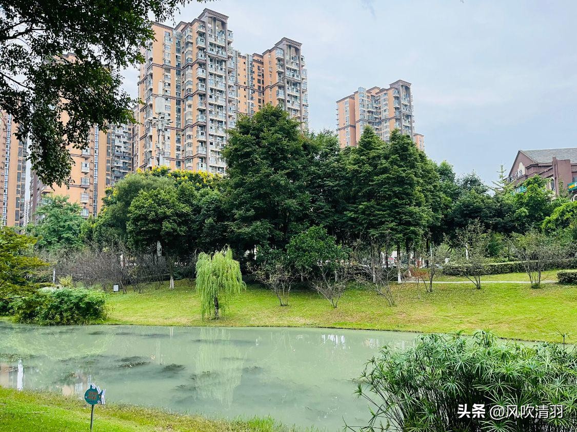 郫都购房郫筒好还是红光犀浦好,成都郫都最好的房子