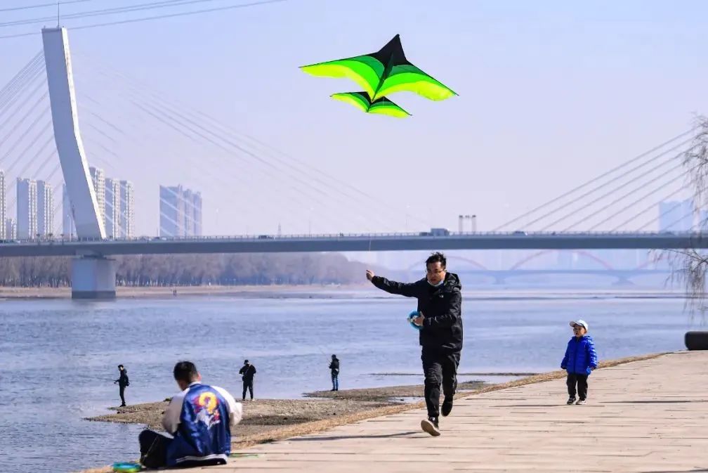 沈阳湿地公园丹顶鹤放飞,沈阳最近郊游最佳地点