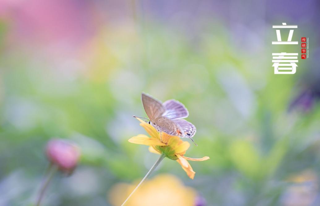 关于立春的古诗词名句,10首立春诗词送你最美的祝愿