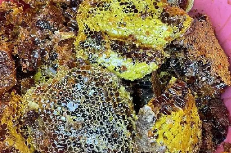 “疯狂的蜂蜜”毒害了整个罗马*队军**，给古罗马人民带来致命的后果