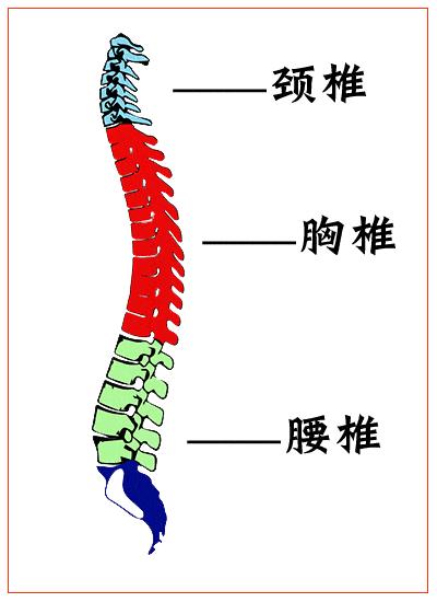 生育对身体的四大损伤！盆底肌常常被忽略