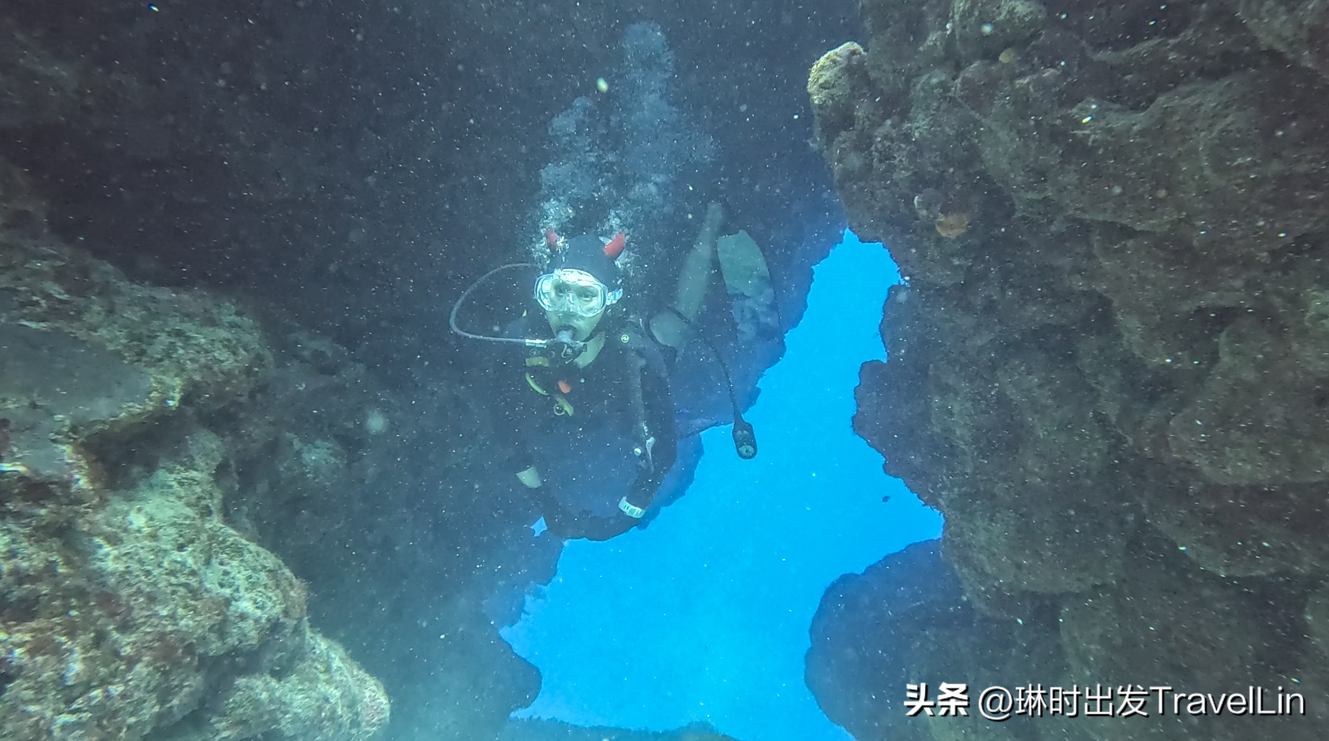 超刺激的海钓视频,超刺激的鲨鱼