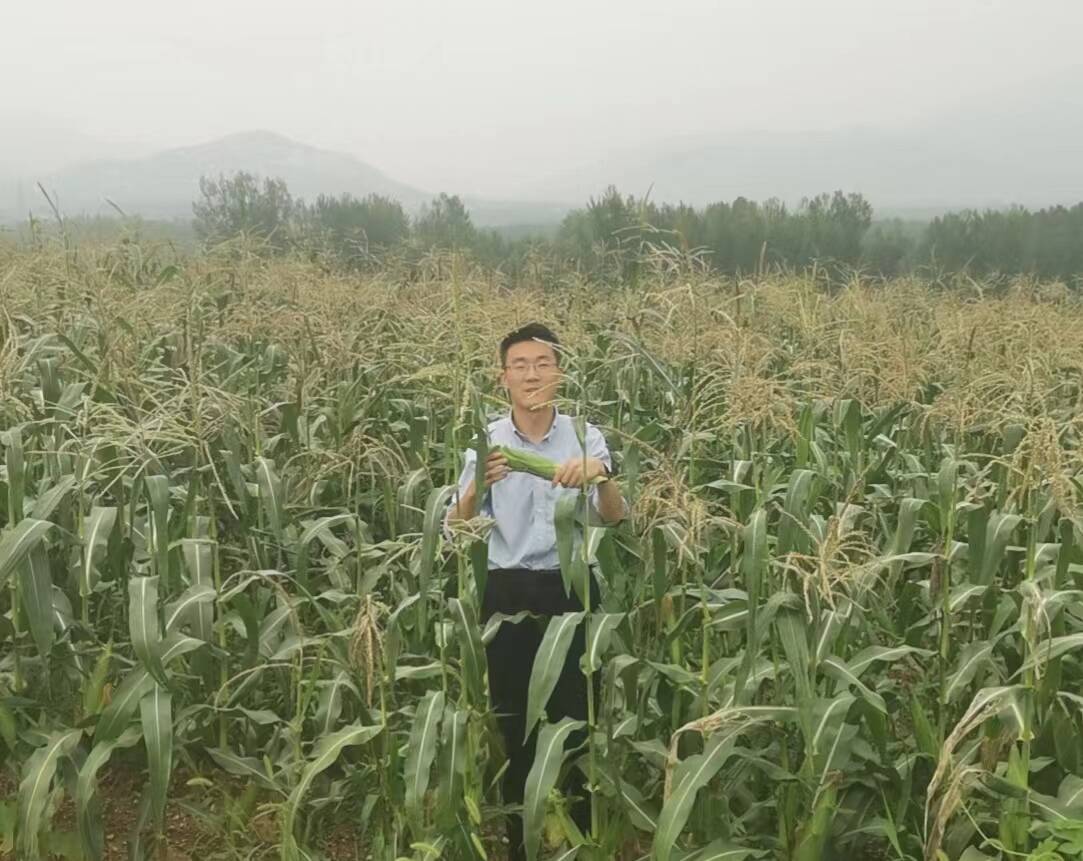 灞变笢浜旂骇涔﹁鍚堝姏鎺ㄨ繘涔℃潙鎸叴,灞变笢浜旂骇涔﹁鍚堝姏鎺ㄥ姩涔℃潙鎸叴