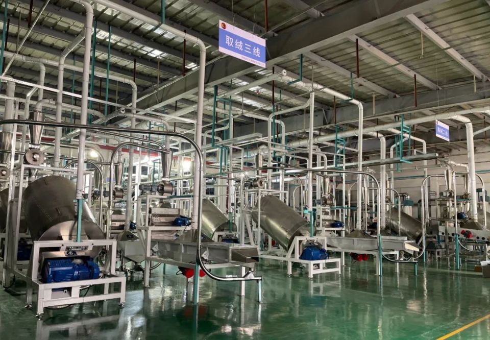 益学教育集团董事长杨娟一行到配天集团调研考察