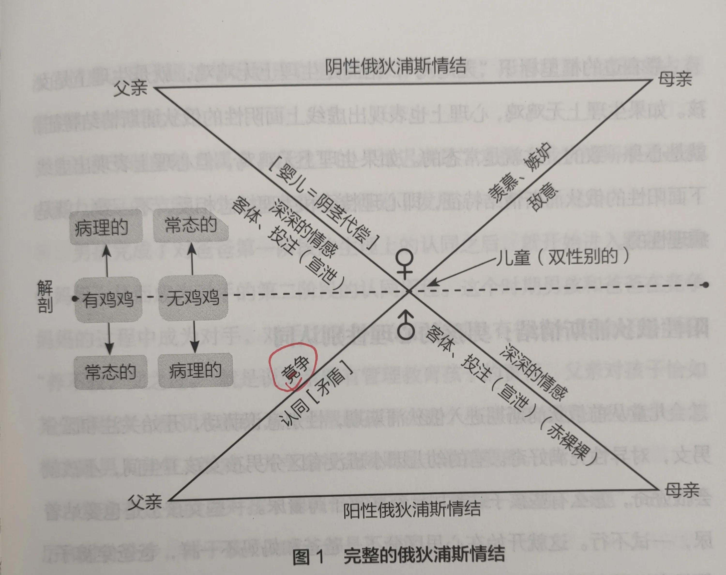 俄狄浦斯三角关系图片,俄狄浦斯基三角关系