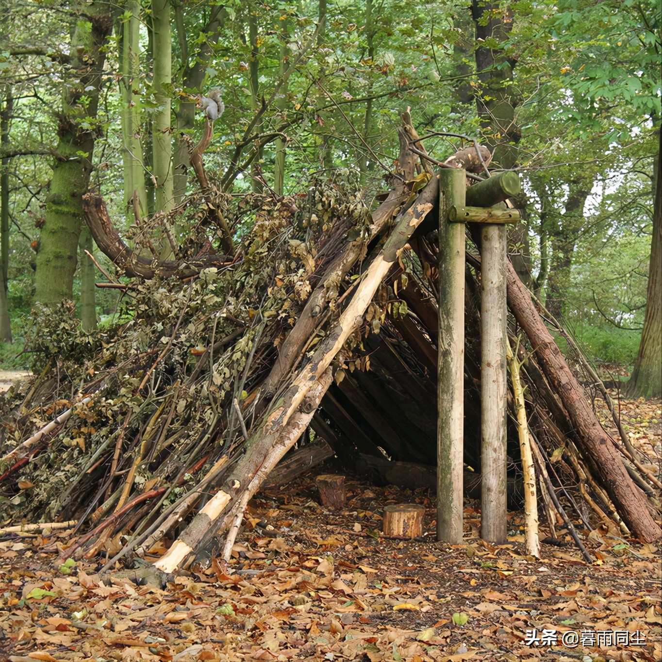 荒野生存十大绝望手段,荒野求生不是一件轻松的事情
