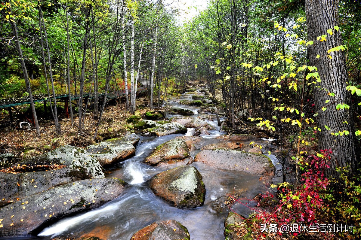 张家界旅游如何避免踩坑,张家界旅游购物坑
