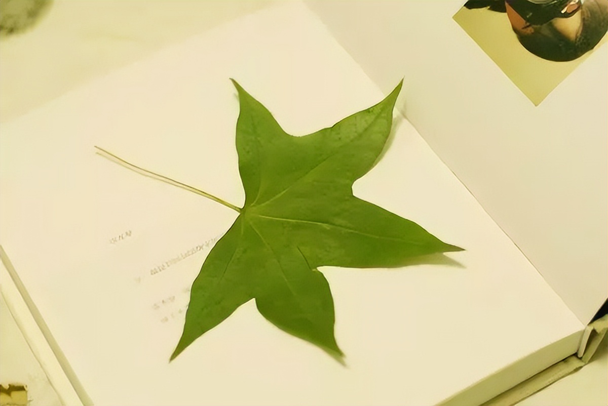 工作及时回复是一种修养,及时回复微信代表一种尊重和修养