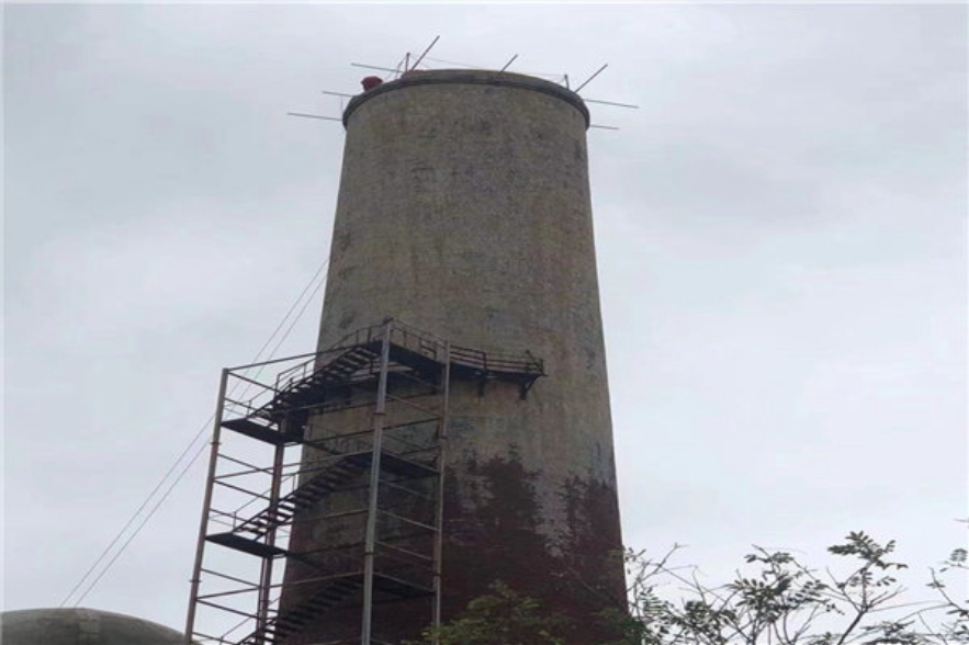 无脚鸟飞走,无脚雨燕如何繁殖