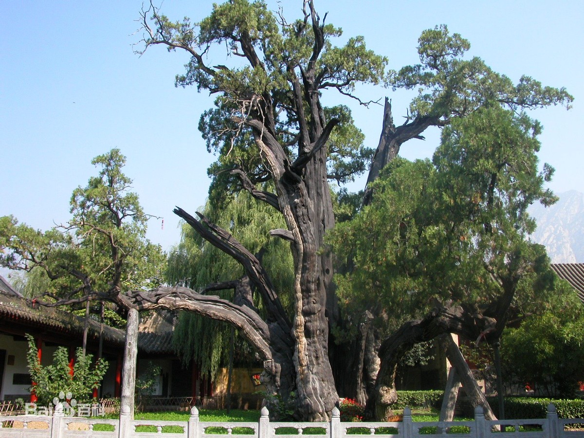 简述中国园林的特点,园林景观大揭秘