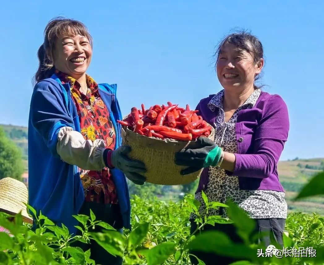 产业发展助推乡村振兴,产业振兴助推强村富民