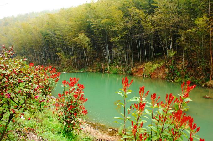南京春游推荐石塘竹海景区,南京石塘竹海怪坡