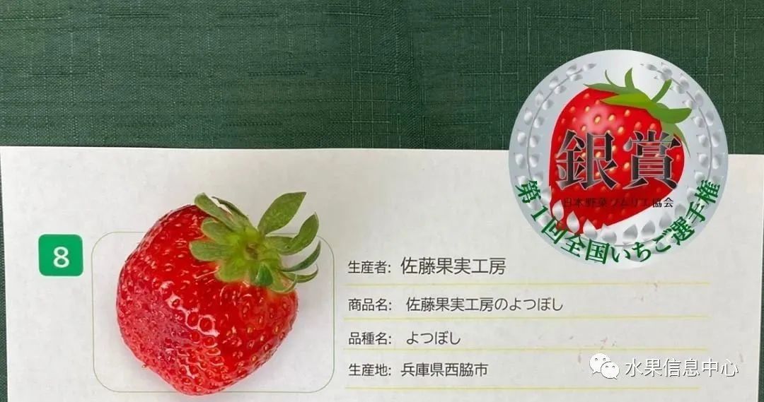 日本草莓评选大赛,排名第一的草莓品种是什么?
