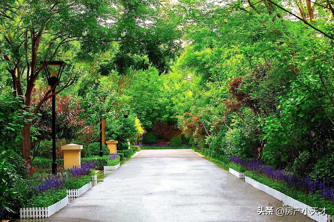 北京北苑小区排名,北京北苑小区楼盘推荐