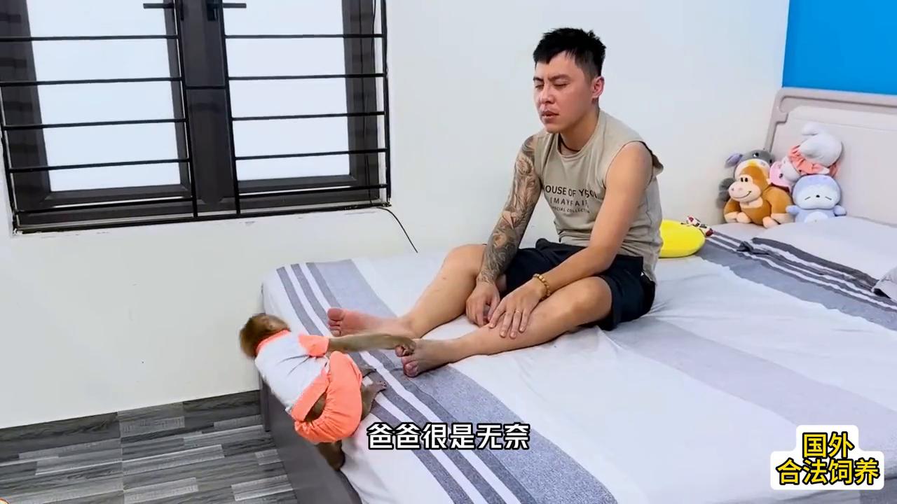 妹妹偷吃小猴子的东西,妹妹偷吃东西被发现