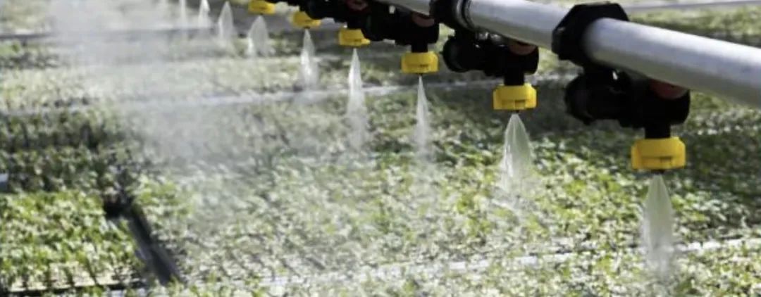 全面推进乡村振兴新闻发布会,人民日报推进乡村振兴获高度关注