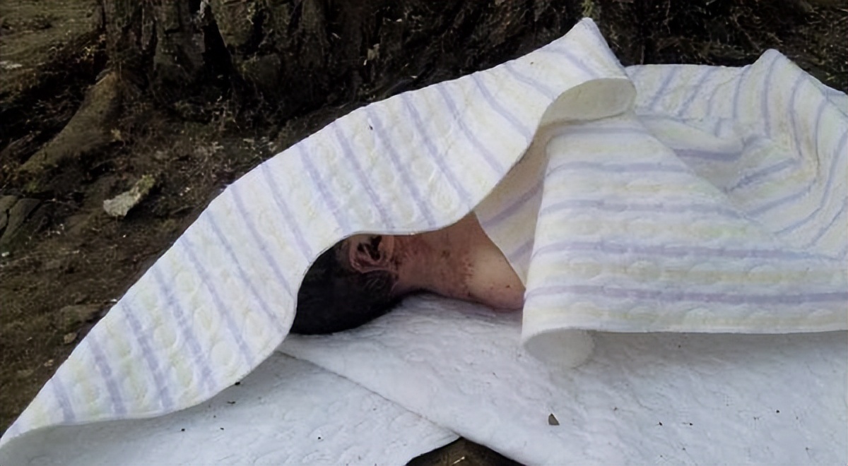 拇指姑娘出生时图片,拇指姑娘刚出生的样子