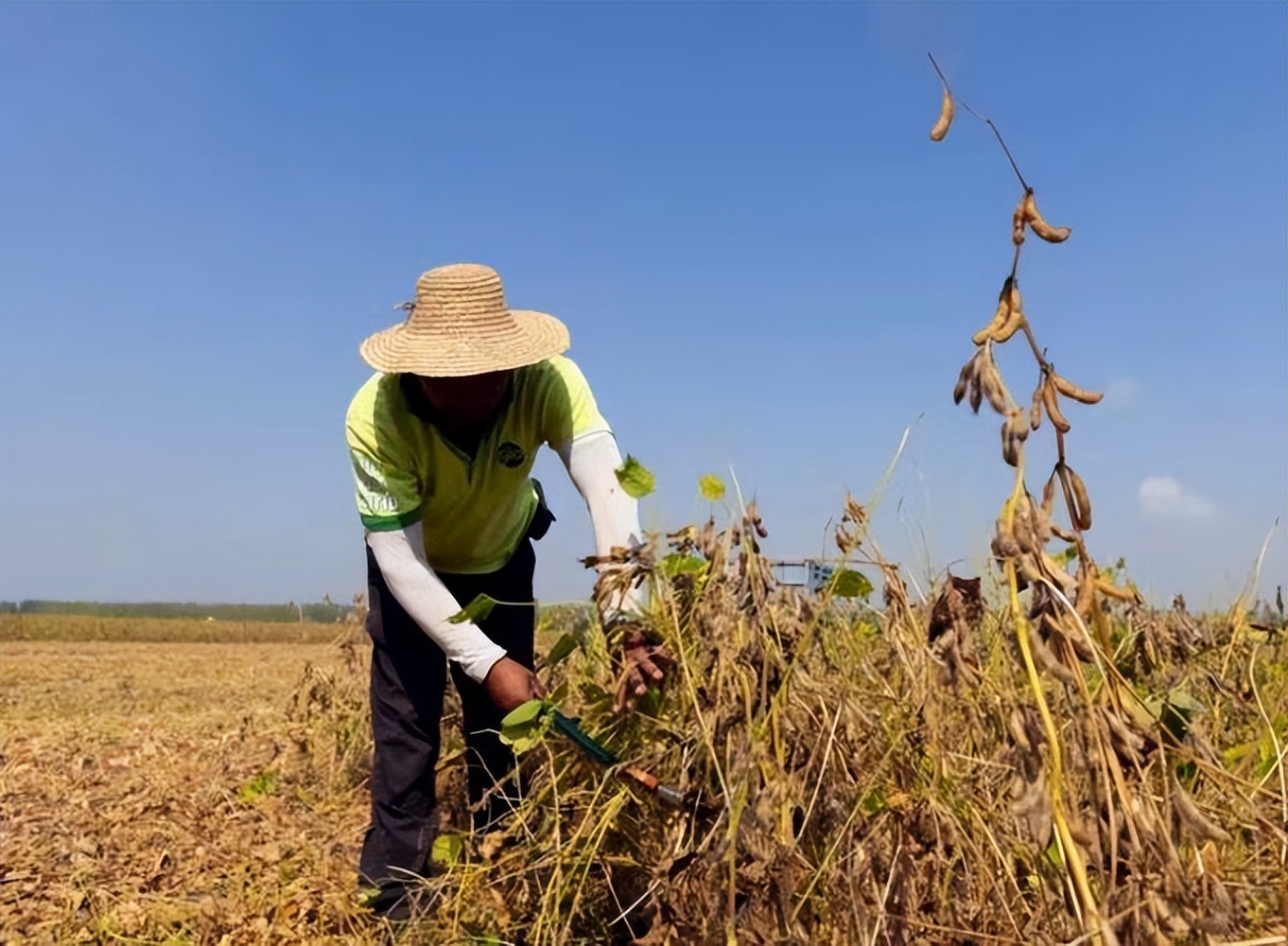 小麦收割跨区作业证,严查跨区作业证导致收割机被扣