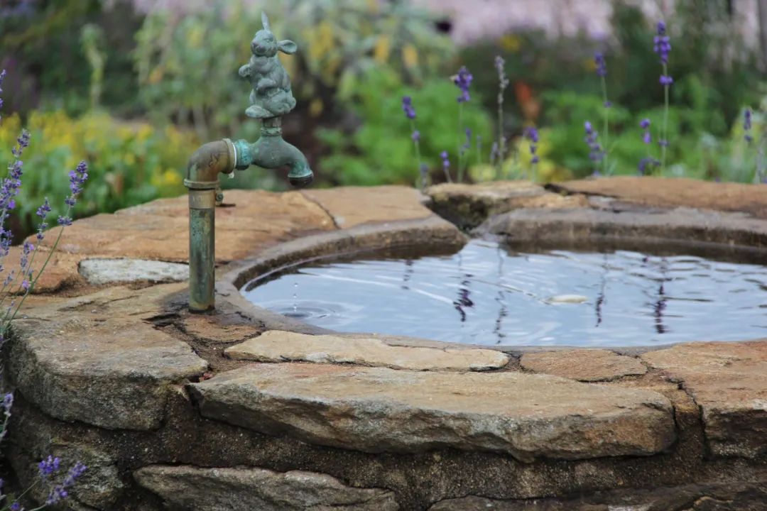 她是顶级豪门家族的千亿儿媳，一生低调，却连总统夫人都羡慕不已