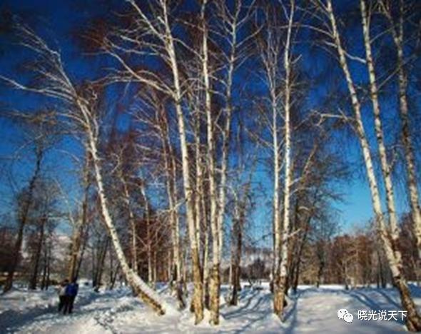 中日文化艺术交流,中日合唱北国之春