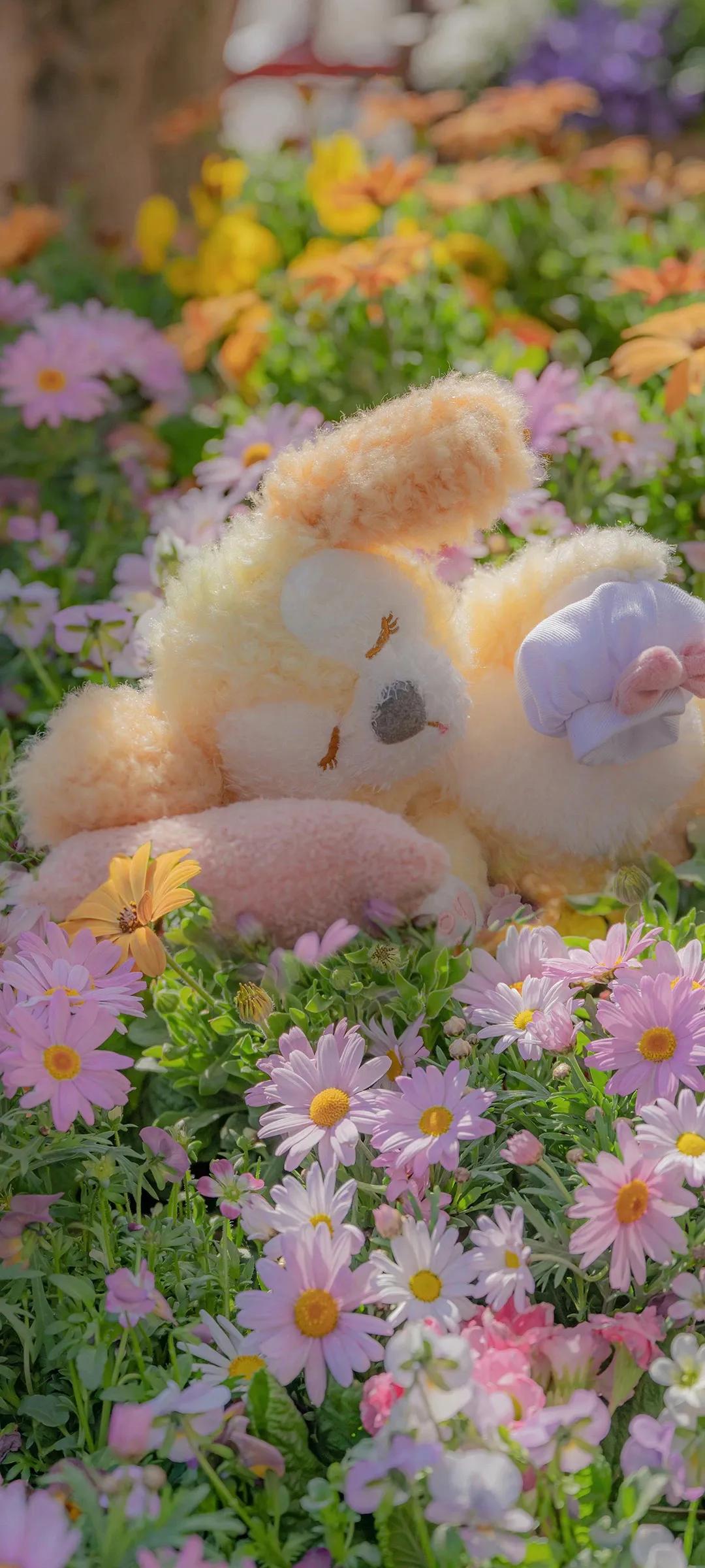 抖音励志语录句子,抖音最火的句子励志语录