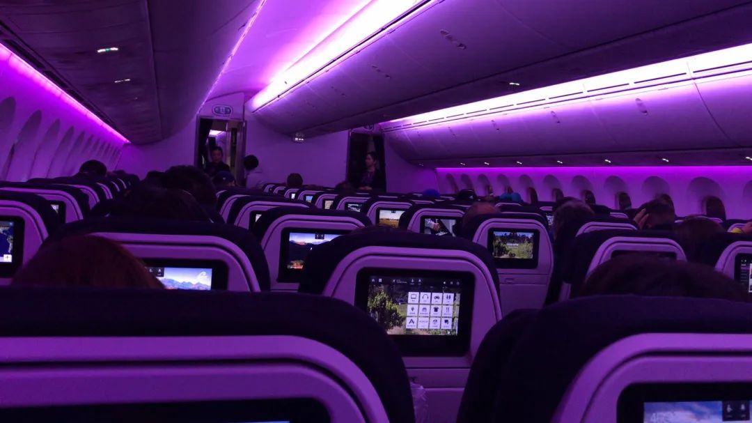 写给不被疫情束缚的心:用文字“云”游新西兰全境