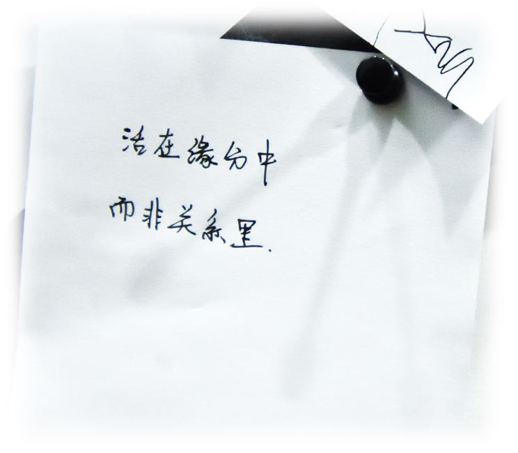 哇塞，这么多陌生人的心愿