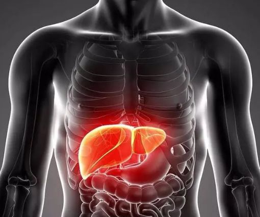 转氨酶升高肌酶升高的症状,谷草转氨酶升高是什么症状