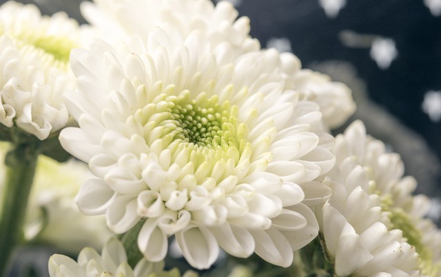 大姨妈量少怎么办,大姨妈来了怎么缓解疼痛