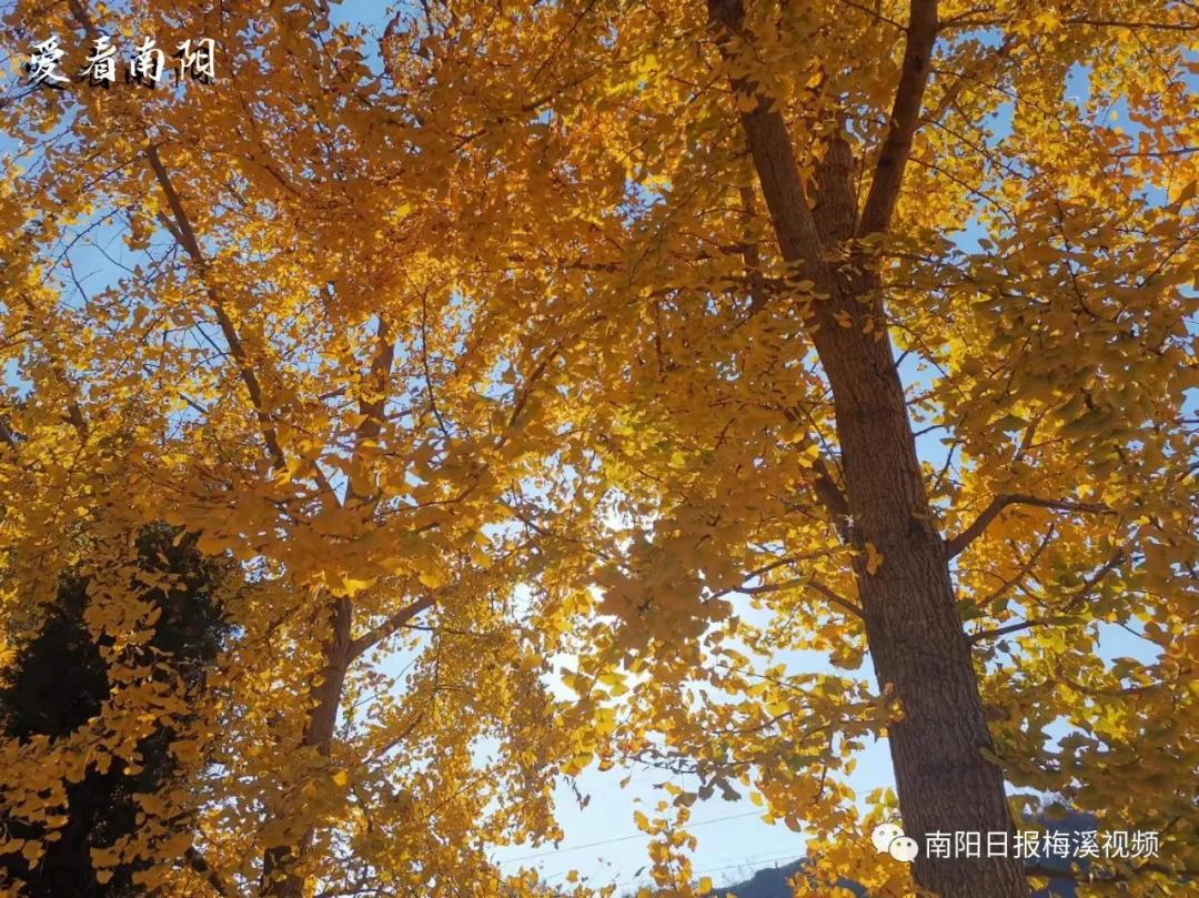 爱看南阳㉟你好2022，再见2021