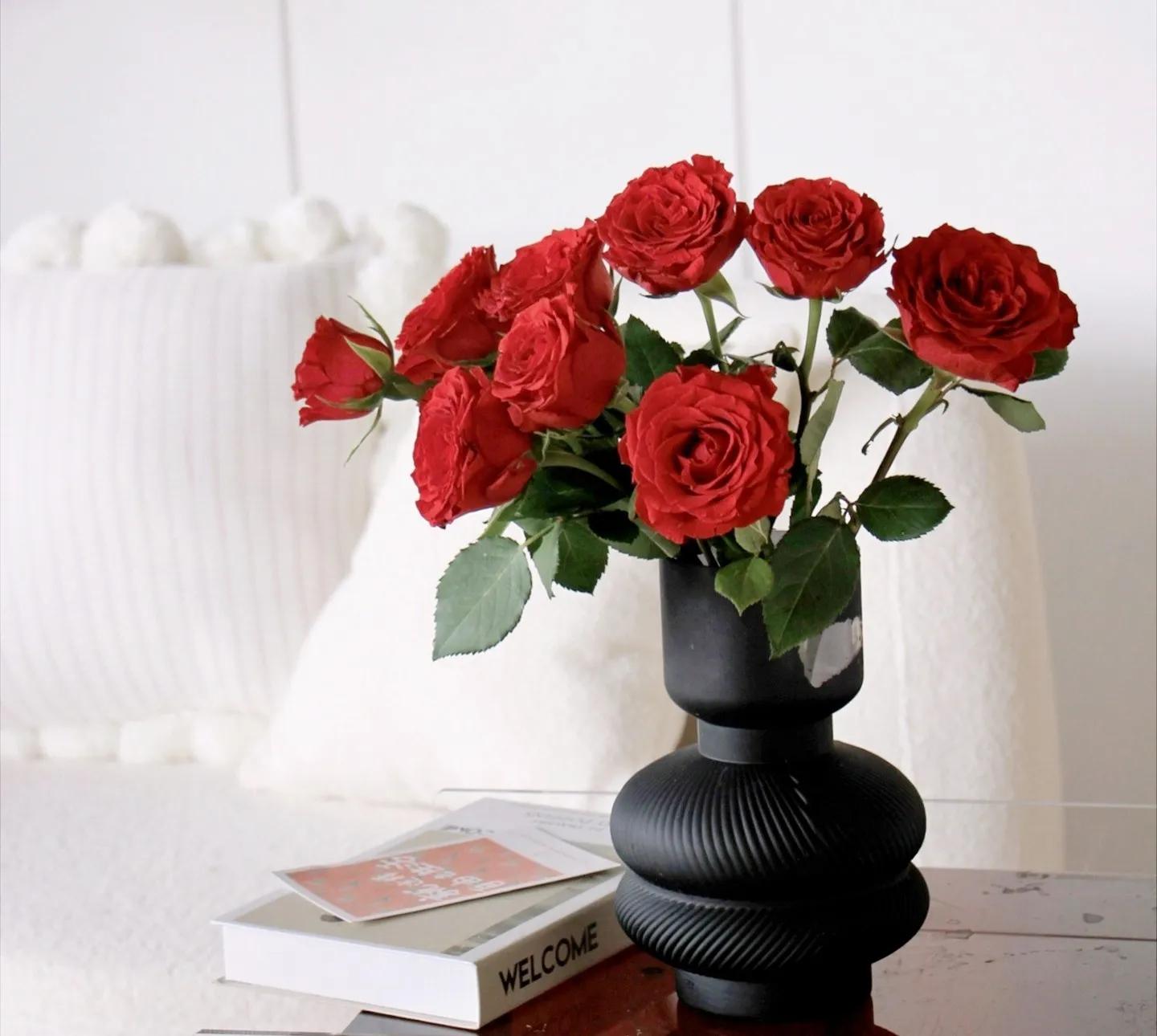 浪漫玫瑰爱情,爱情花朵红玫瑰