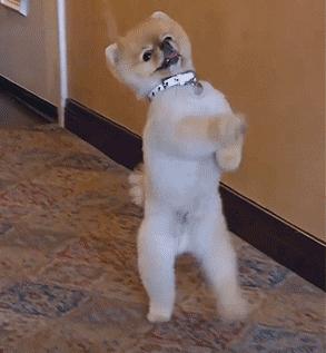 刚入门怎么提升羽毛球技术,提高羽毛球技术的日常训练