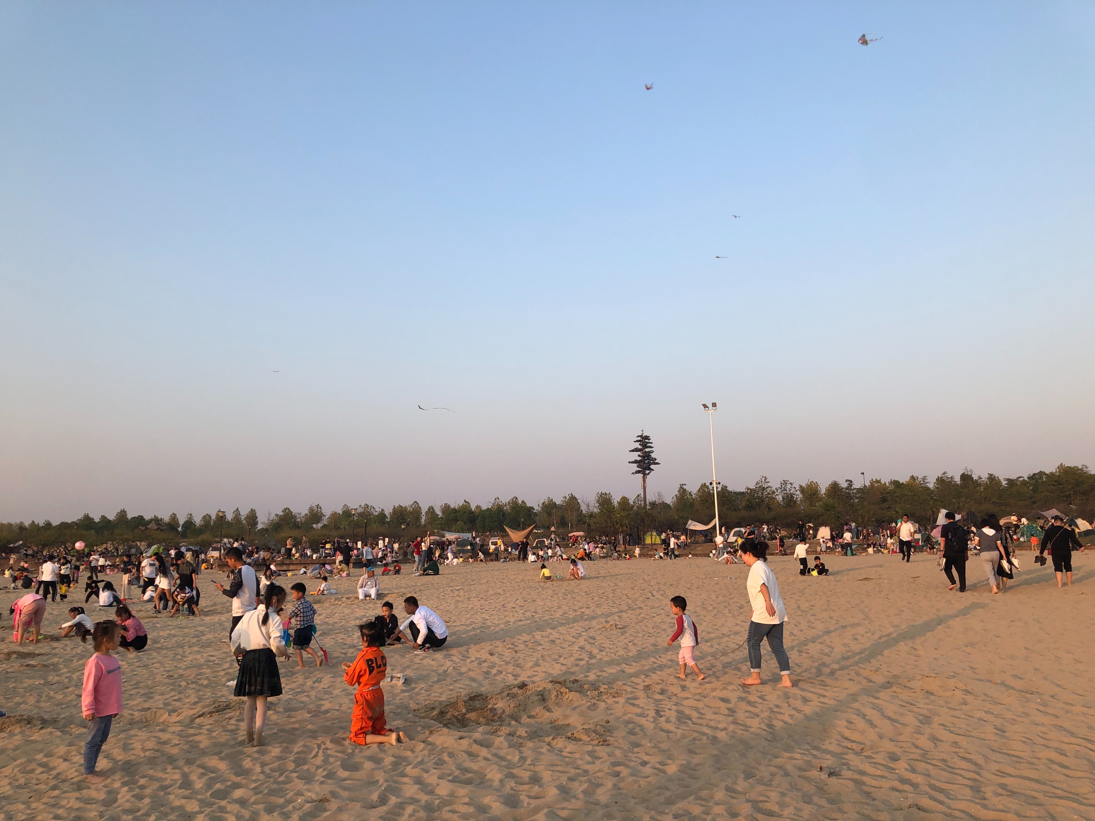 海滨松雅湖湿地公园,2020年长沙松雅湖湿地公园