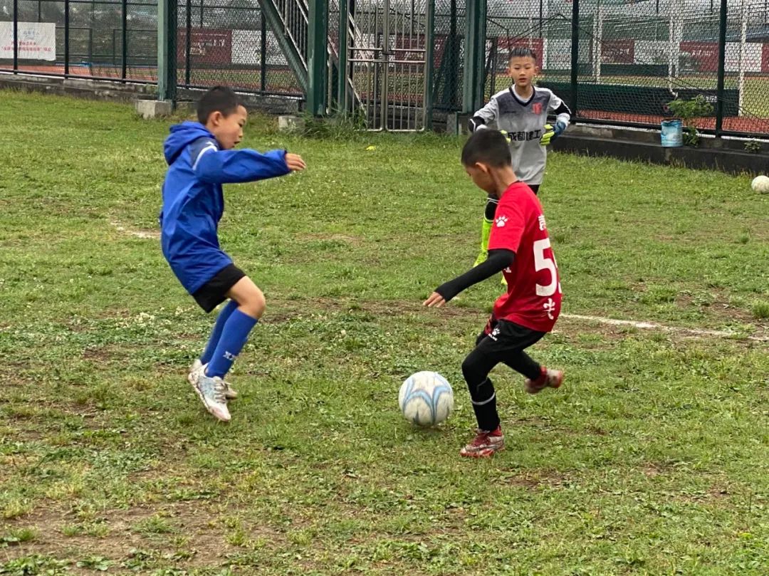 麒志,2023麒志杯采访