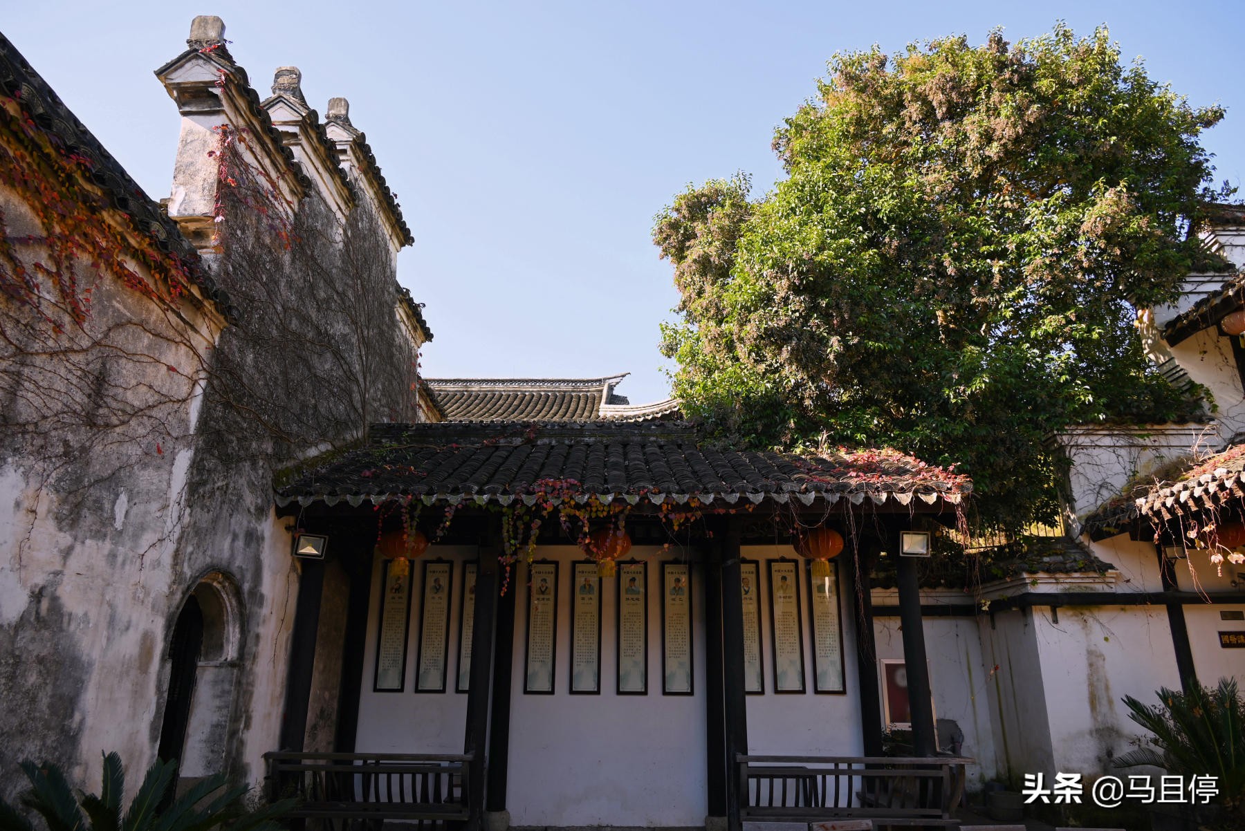 浙江慈溪鸣鹤古镇周边景点介绍,浙江鸣鹤古镇和鹤鸣古镇哪个好玩