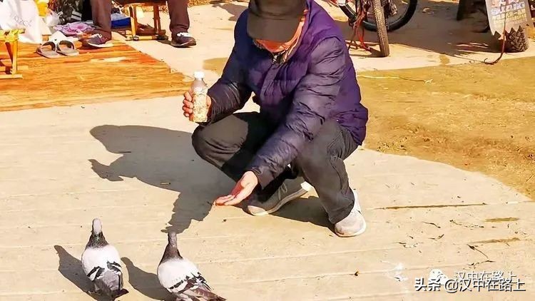 冬泳爱好者低温中畅游泳,冬泳爱好者激情畅游越冷越泳