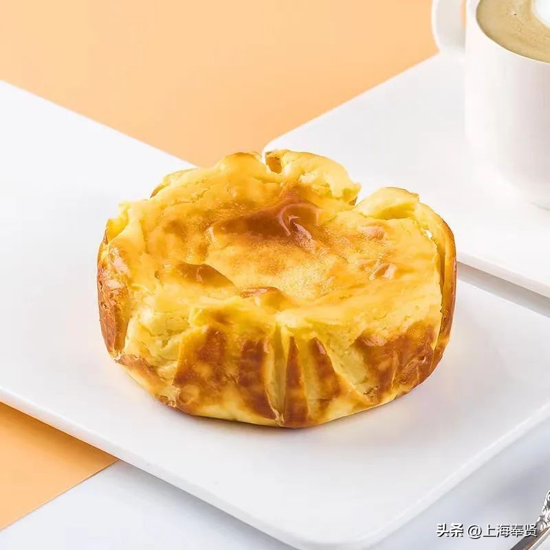 选择奉贤选择未来丨陈自立：一辈子深耕一件喜欢的事