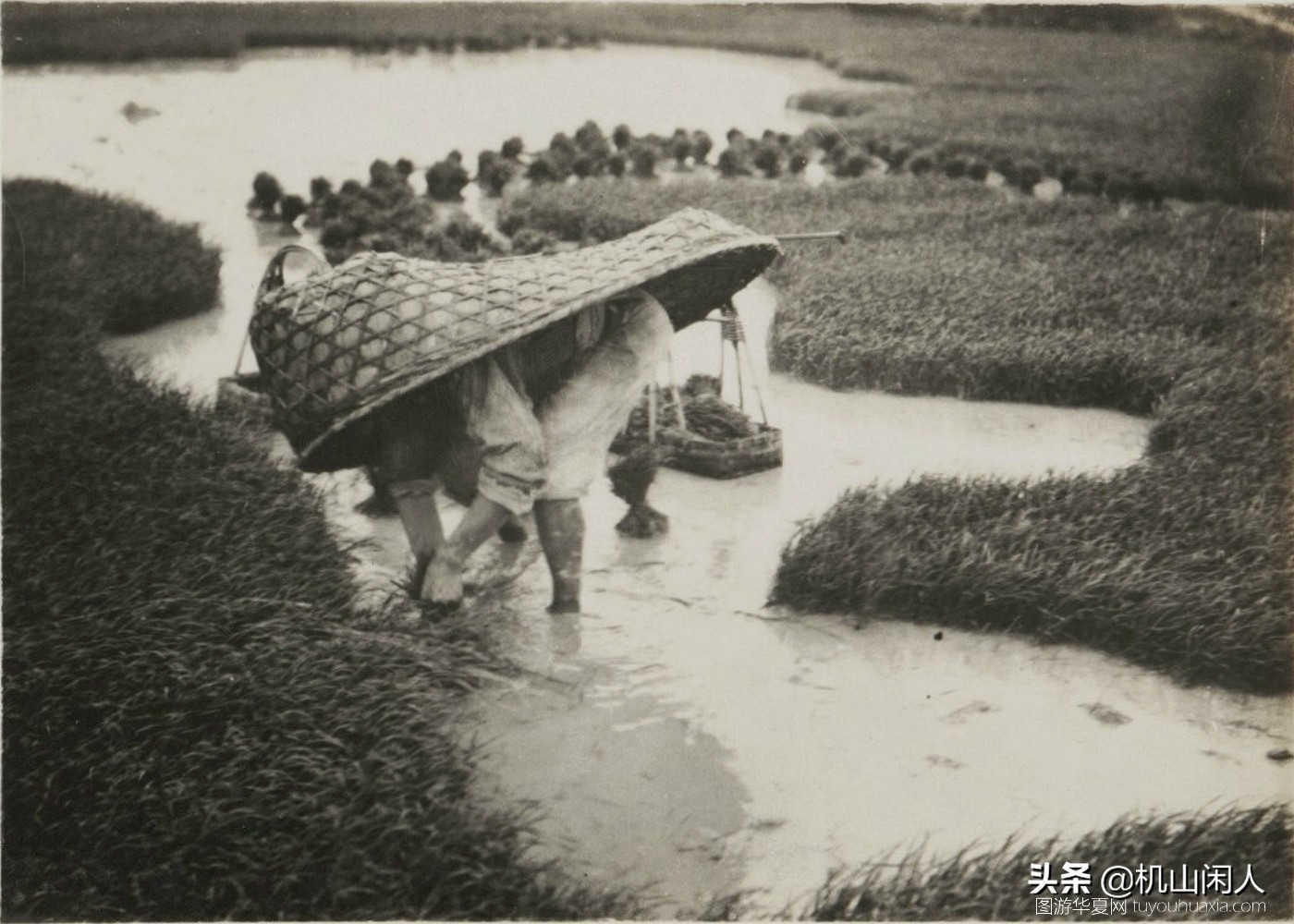 南岳衡山八十年代老照片图库,南岳衡山古画图片