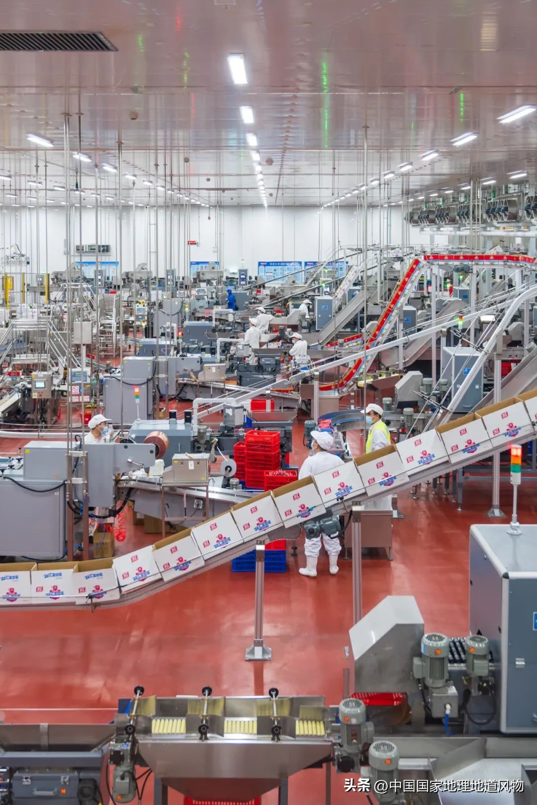 漯河食品城在中国排行,漯河市是食品之城吗