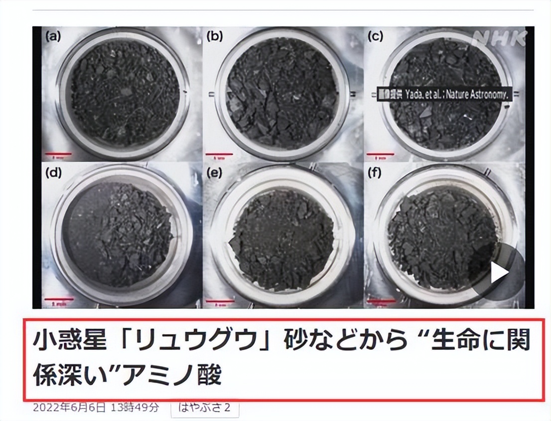 日本科学家发现新地球,日本科学家发现蛋白质