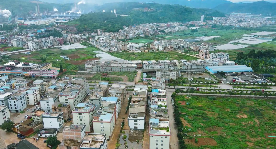 广东别墅小偷被狼狗咬死,狼狗袭击真实事件