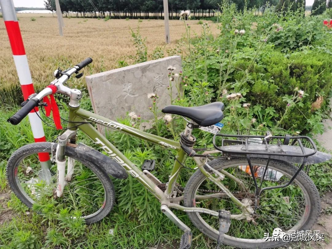 贾镇艾寨村,冠县艾寨