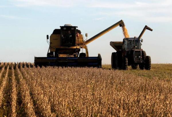 卡脖子美国,美国会不会停止对中国出口大豆