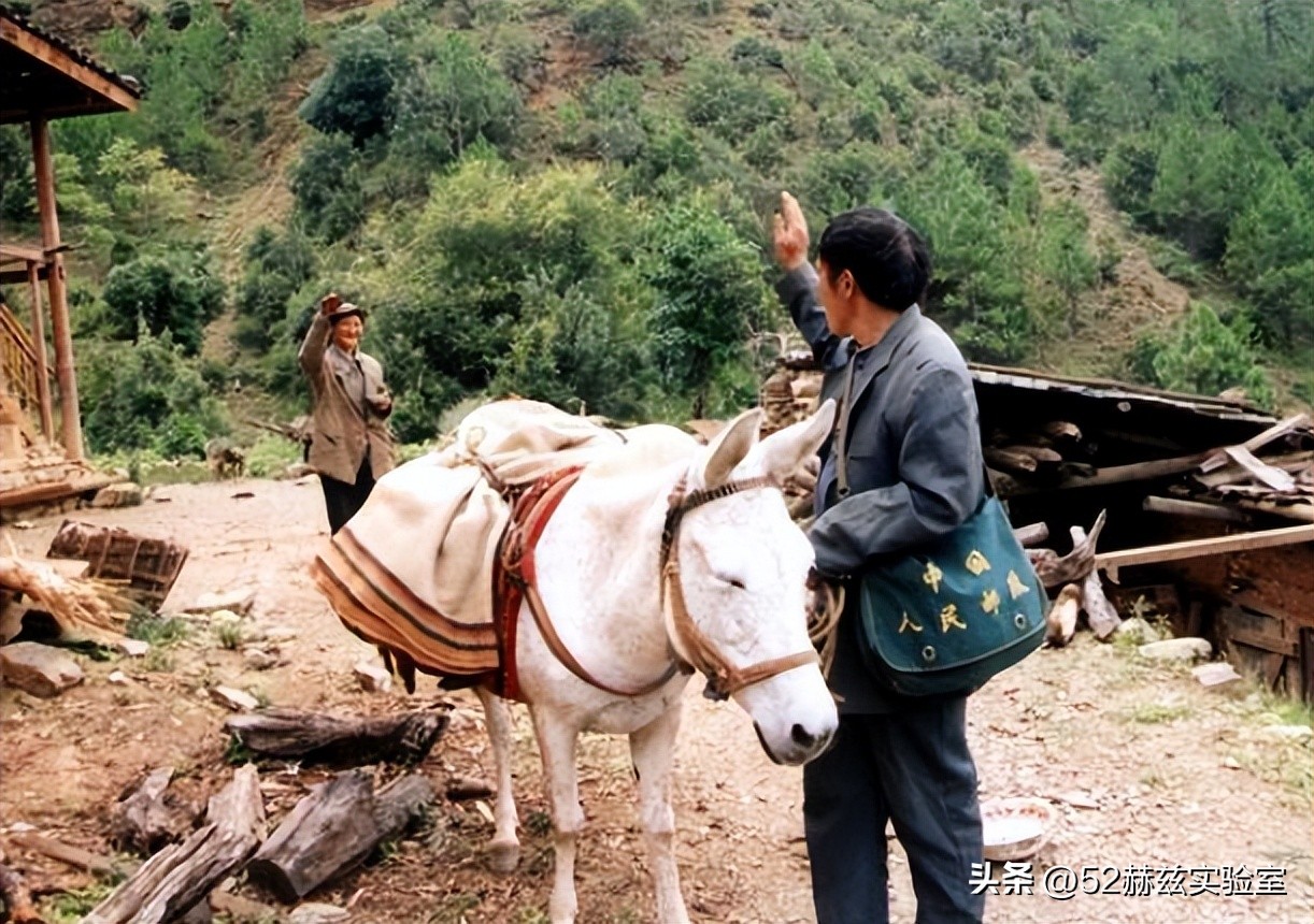 中国邮政快递公司发展历程,各快递现状中国邮政