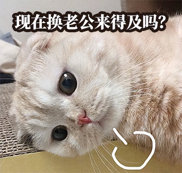 拉屎这件事,男人从来没有输过