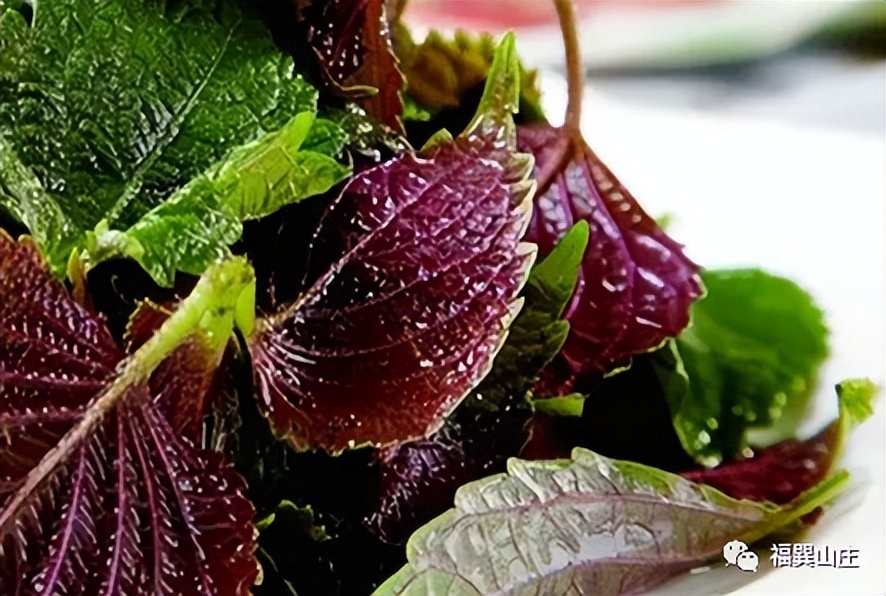 女性生理期饮食应该注意事项,女朋友生理期饮食要注意什么