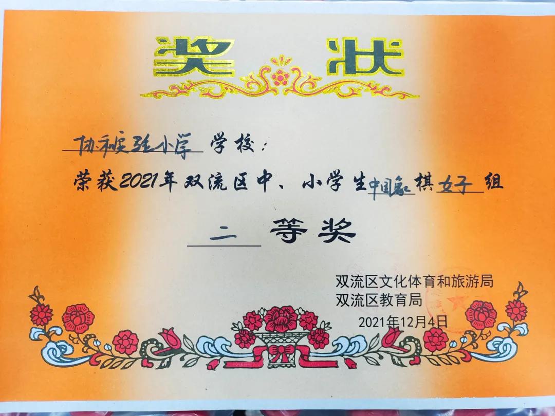 双流区实验小学2024年足球赛,双流区第32届中小学田径运动会