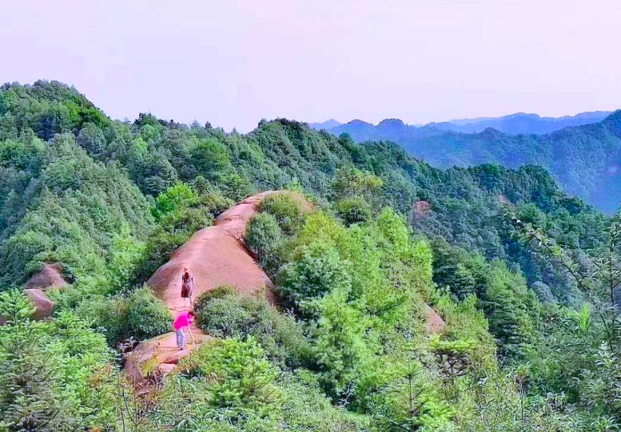夏季重庆周边避暑,重庆附近避暑旅游2-3天推荐地方
