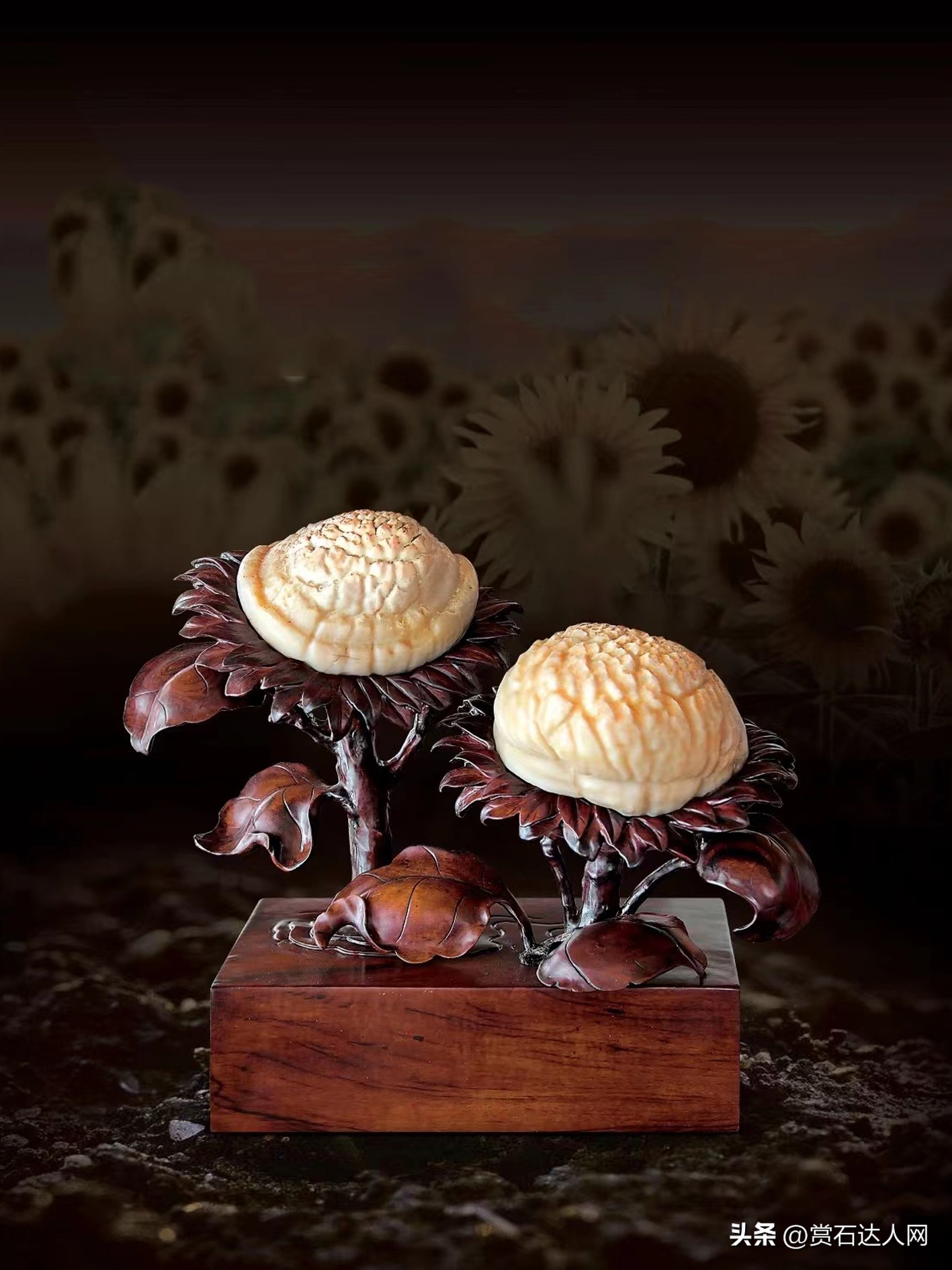 五颜六色的石头拍照,五彩斑斓的石头照片