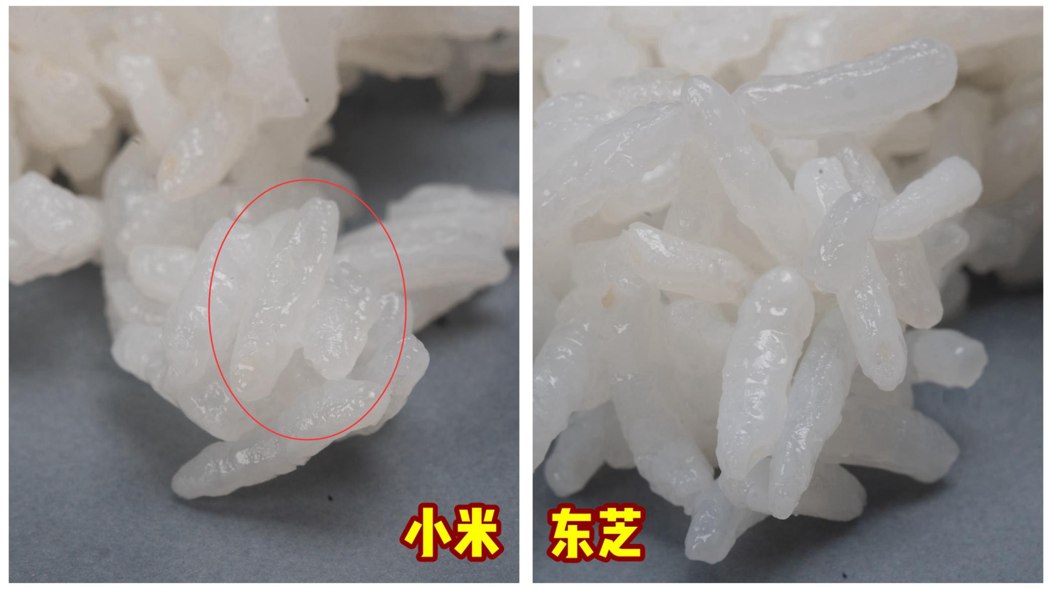 能煮三斤米饭用多大的电饭锅,东芝电饭煲超快煮